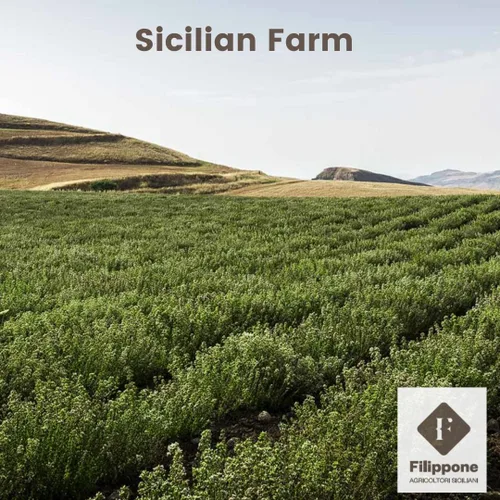 Miniatura 4 de Filippone® Manojo de lavanda seca orgánica 25 g (0.88 oz), recién cultivado en las montañas de Sicilia, lavanda culinaria, ramas de lavanda seca