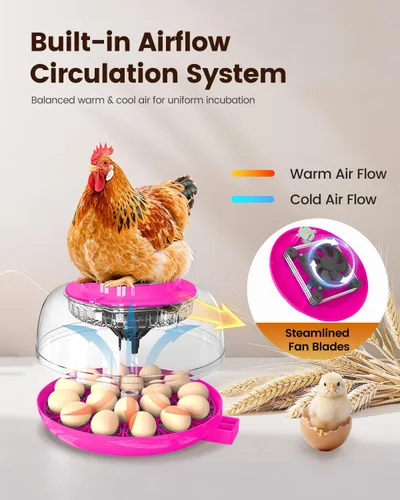 Miniatura 4 de Incubadora para incubar huevos, capacidad de 18 huevos, incubadoras con ovoscopio, girador automático de huevos, control de temperatura y humedad