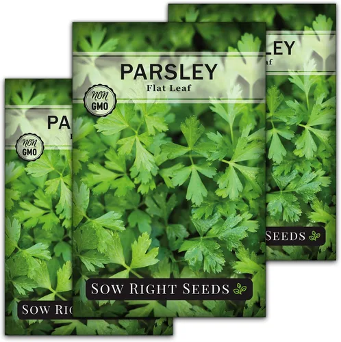 Miniatura 8 de Sow Right Seeds - Semilla de perejil de hoja plana para plantar - Paquete de reliquia sin OMG con instrucciones para plantar y cultivar un jardín