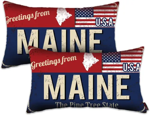 Miniatura 49 de Juego de 2 fundas de almohada de Florida de 12 x 20 pulgadas, decoración de recuerdo de Florida, funda de almohada lumbar con diseño de bandera