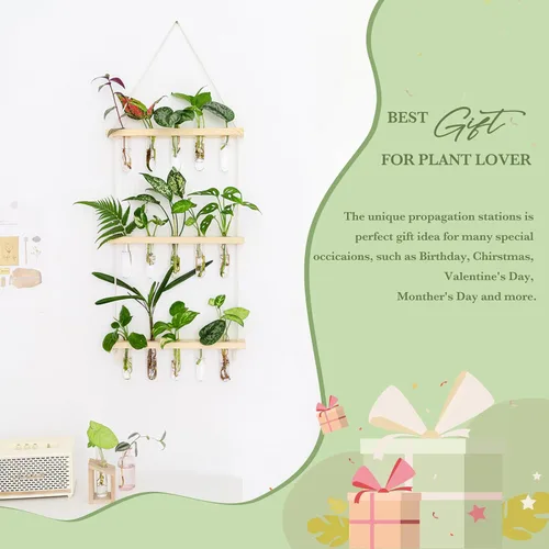 Miniatura 3 de Mkono Terrario para colgar en la pared de 3 niveles con soporte de madera, maceta de vidrio para corte de plantas hidropónicas, decoración de Beige