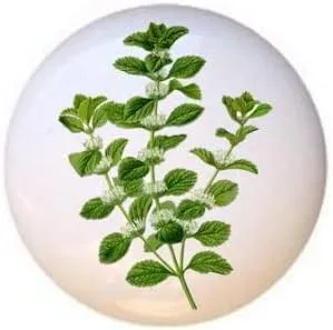 Miniatura 3 de Hierbas Especias Cocina Cocina Cocinar Hornear Hornear Decorativo Cerámica Cajón Tiradores Armario Perillas (pimienta de Jamaica)
