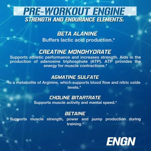 Miniatura 5 de EVL Intense Pre Workout con creatina - ENGN bebida en polvo energizante preentrenamiento para hombres para energía duradera, enfoque y recuperación