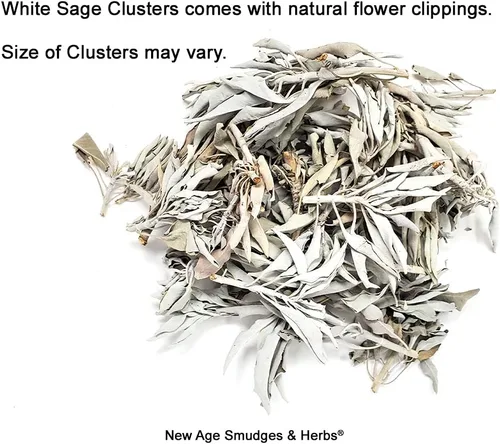 Miniatura 3 de 1 libra de hojas y racimos de salvia blanca orgánica de California. Uso para rituales de limpieza del hogar, meditación, rituales de manchas.