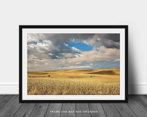 Miniatura 3 de Impresión de fotografía campestre (no enmarcada) Imagen de campos de maíz en terrazas doradas bajo el cielo de ensueño en el día de otoño en Iowa