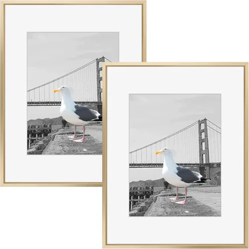 Frametory, Marco de fotos de metal de 16 x 20 pulgadas con paspartú para fotos de 11 x 14 pulgadas y vidrio real, colección de marcos de fotos de