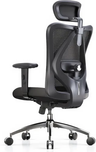 Sihoo - Silla de oficina ergonómica, silla de escritorio con respaldo alto, reposacabezas ajustable con reposabrazos 2D, soporte lumbar y ruedas de