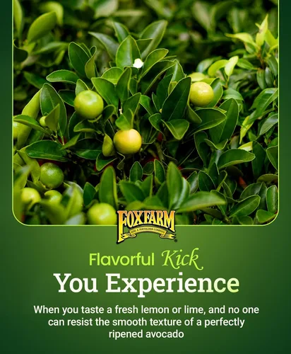 Miniatura 3 de FoxFarm Happy Frog - Fertilizante de cítricos y aguacate, con certificación OMRI, nitrógeno de liberación lenta, calcio y azufre para árboles