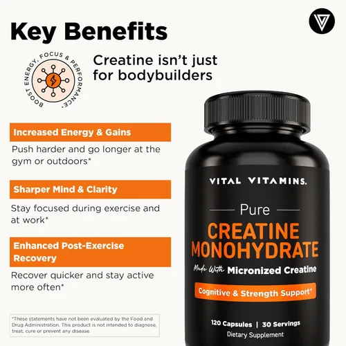 Miniatura 3 de Vital Vitamins Píldoras de monohidrato de creatina para mujeres y hombres - Cápsulas de creatina micronizada - Cognitivo, fuerza y apoyo