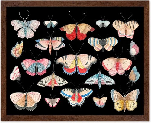 Miniatura 14 de Poster Master Póster vintage de miel, impresión retro de La Vie De L'Abeille, arte de panal de abeja, arte de pared de abeja, regalo para hombres