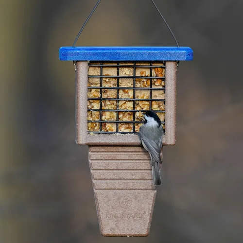 Miniatura 7 de Kingsyard Comedero de sebo de plástico reciclado, alimentador de sebo para colgar en el exterior, resistente y duradero, ideal para pájaros Verde