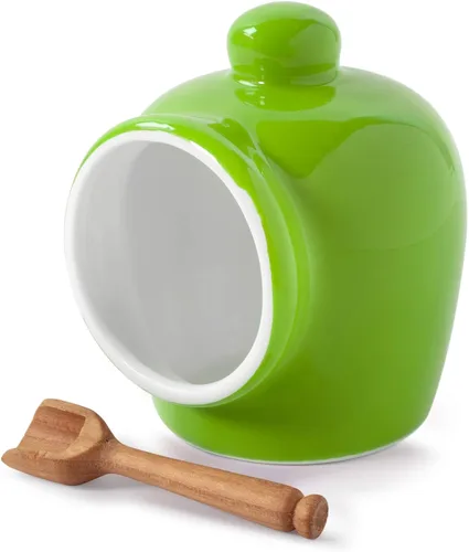 WM Bartleet & Sons 1750 T345G Cerdo pequeño de porcelana tradicional con cuchara de servir de sal de madera, color verde