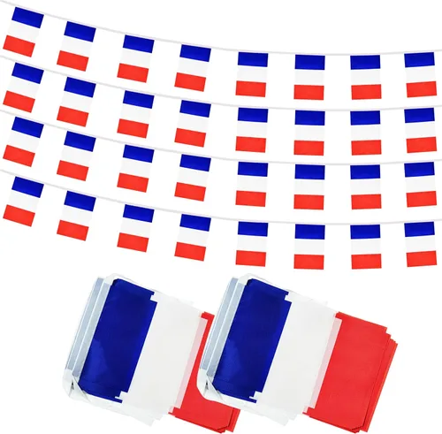 Miniatura 10 de Bandera de Cuerda Argentina de 100 Pies, 76 Piezas Bandera Estandarte Argentina, Pequeñas Mini Banderas del Mundo para Eventos Deportivos