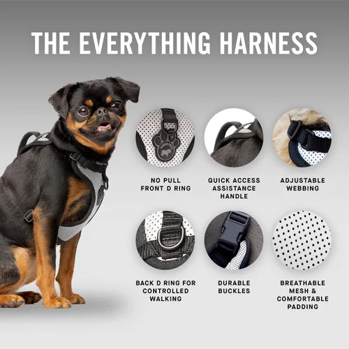 Miniatura 3 de Canada Pooch Arnés para perro Everything sin tirones, arnés fácil de caminar para perros con exterior de malla transpirable, arnés ajustable