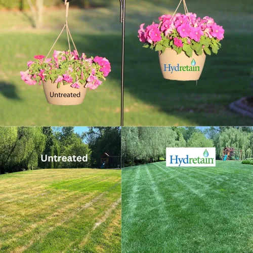 Miniatura 3 de Hydretain Root Zone Moisture Manager - Convierte la humedad del suelo en agua utilizable para plantas para protección contra la sequía, reduce
