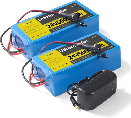 Paquete de 2 baterías de litio de 24 V 5 Ah con cargador de 29.4 V 1 A, batería recargable de 24 V para niños, juguetes y proyectos de bricolaje,