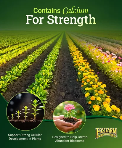 Miniatura 5 de FoxFarm Happy Frog Fertilizante de harina de huesos al vapor – Fertilizante de fósforo de cribado fino con calcio y hongos micorrícicos, apoya