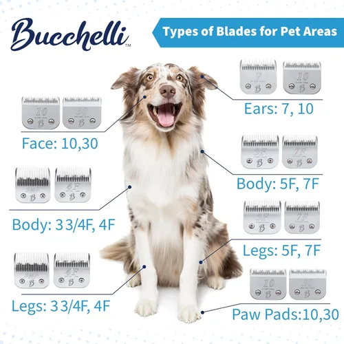 Miniatura 2 de Cuchilla desmontable de dientes de corte para perros Serie A 7, longitud de 1/8 de pulgada a 0.126 in, acero japonés de alto carbono, 7 suministros