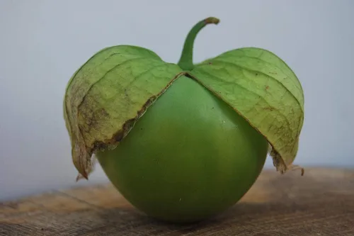 Miniatura 5 de Vegetal Cape Gooseberry Goldenberry Green Physalis - 150 Semillas