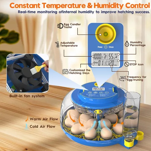 Miniatura 2 de Incubadora para incubación de huevos-18 huevos con giro automático de huevos y control de humedad Vista de 360 ° Incubadora de Huevos, patos