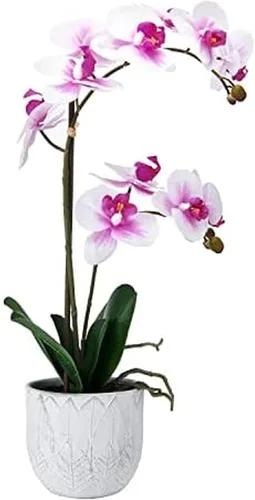 Mikasa Orquídea artificial en maceta, orquídea Phalaenopsis de tacto real, maceta de cemento de hojas en relieve, rama doble de 22 pulgadas,
