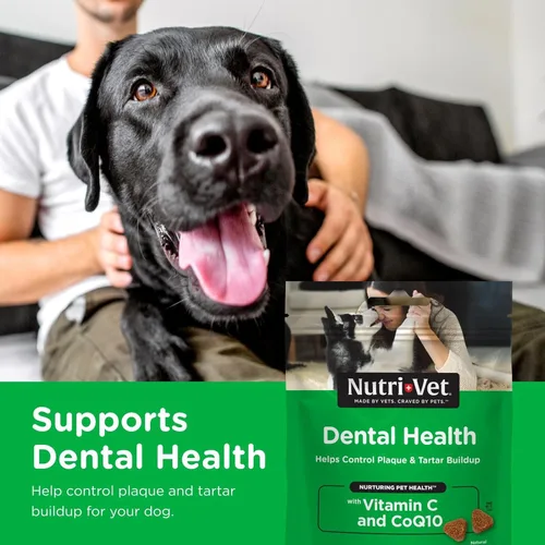 Miniatura 2 de Nutri-Vet Masticables suaves para la salud dental para perros, esenciales para cachorros, removedor de placa, suministros para mascotas, ambientador