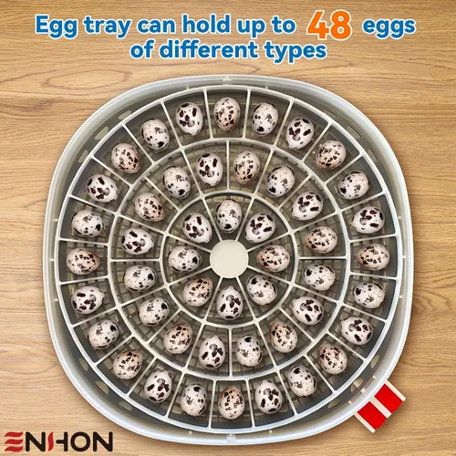 Miniatura 3 de Enhon Bandeja de 48 huevos compatible con la incubadora Nurture Right 360, bandeja giratoria de huevos de plástico de repuesto para incubar
