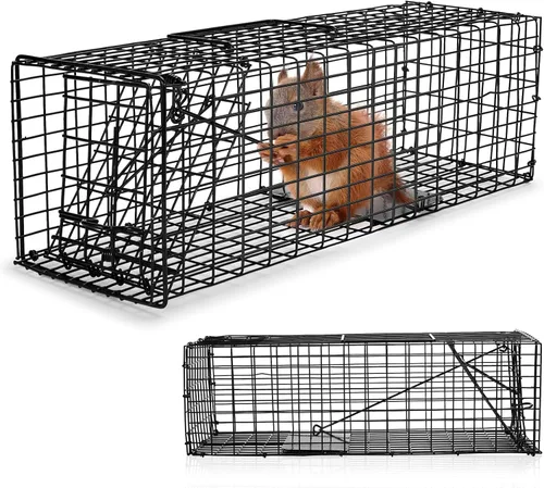 Miniatura 9 de Qualirey 1 trampa para ardillas humanitarias, resistente para animales vivos, captura y liberación, trampa para ratas para animales pequeños al aire