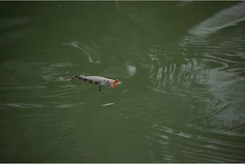 Miniatura 5 de Berkley Bullet Pop Pesca Cebo Duro MF Bluegill.