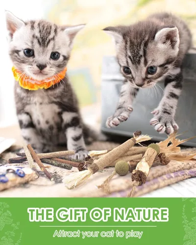 Miniatura 7 de TINDTOP Juguetes masticables de hierba gatera para gatos, paquete de 12 palitos de vid plateada natural para limpieza de dientes de gatitos, cuidado