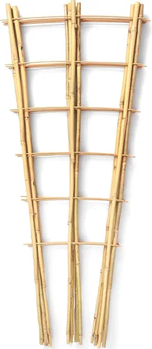 SWANGSA Paquete de 5 enrejados de bambú de 3 pies para soporte de plantas trepadoras, enrejado en forma de abanico para plantas en macetas al aire