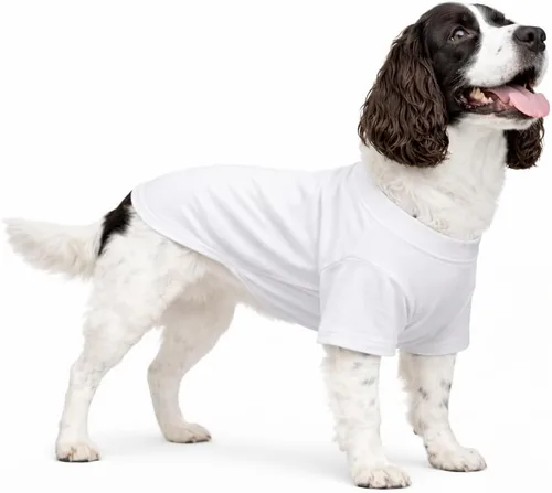 Miniatura 90 de Lovelonglong 2019 - Ropa para mascotas, Disfraces para Perro, Ropa Camisetas en blanco para Perros Grande Medianos Pequeños 100% Algodón 18