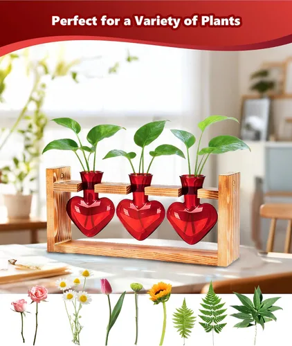 Miniatura 5 de Nacome Estaciones de propagación de terrarios de plantas: regalos del día de la madre para mamá, amantes de las plantas, mujeres, esposa, hija