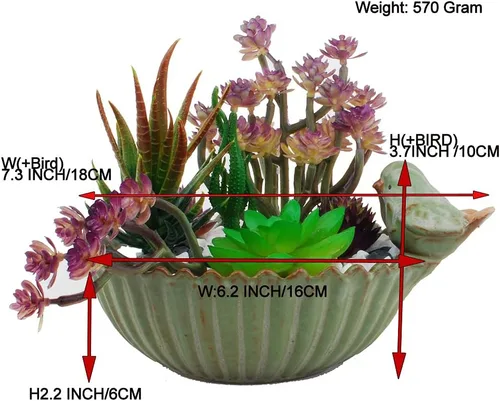 Miniatura 7 de NWFashion - Maceta divertida con diseño especial para jardín, suculentas, de 6 pulgadas, para interior y exterior (pájaro)