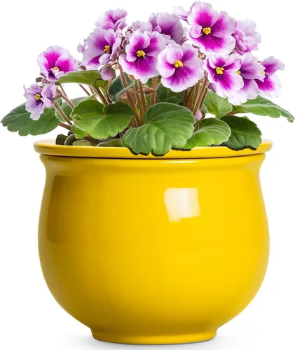 Miniatura 19 de Macetas de riego automático de 6 pulgadas para plantas de interior, macetas de cerámica violeta africana con maceta interior absorbente, maceta
