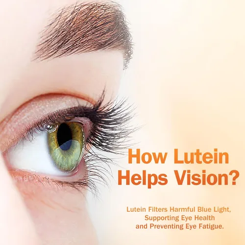 Miniatura 5 de NYO3 Luteína y zeaxantina de 40 mg con arándano, vitaminas para los ojos y suplemento mineral, multivitaminas para la salud ocular y la visión