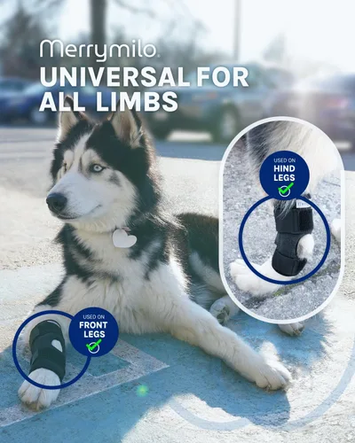 Miniatura 8 de Soporte para pierna de perro, Hock trasero y tobillo Sigle, envoltura de compresión para articulación de pierna trasera canina para desgarro ACL
