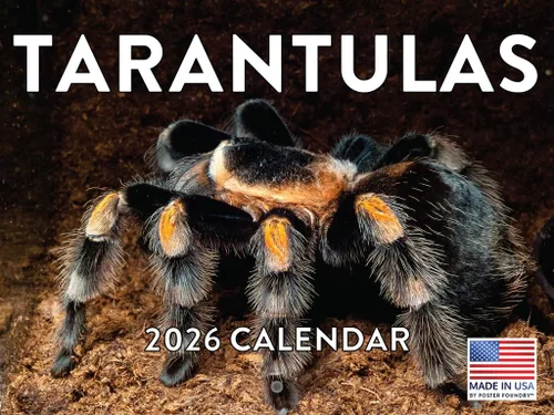 Miniatura 108 de Calendario alpaca 2026, calendario mensual de pared de 12 meses Hecho en Estados Unidos.