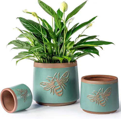 Miniatura 13 de Macetas de terracota con orificios de drenaje con decoración de abejas, macetas de cerámica para plantas de interior y exterior, suculentas