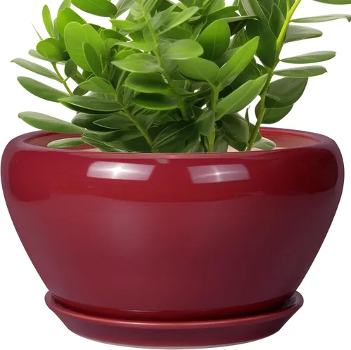 Miniatura 21 de Maceta de Cerámica Moderna con Esmalte para Suculentas con Agujero de Drenaje y Platillo, Maceta Redonda de 6 Pulgadas para Plantas de Flores