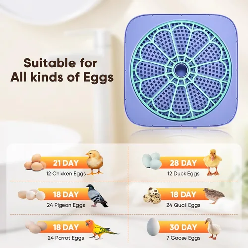 Miniatura 4 de Incubadoras para incubar huevos, incubadora inteligente de huevos con control de humedad y temperatura y girador automático, 360° View Incubadora De