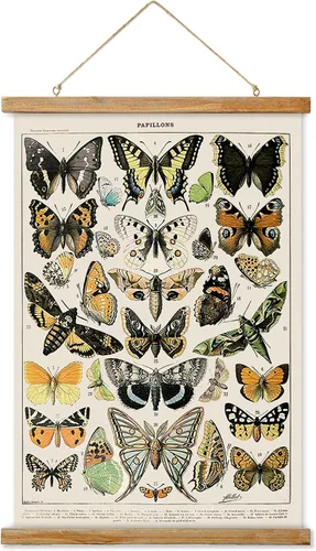 Miniatura 27 de Ovfovy Póster vintage de hongos con marco de madera, estilo retro de pintura botánica de pared, póster de tabla de referencia ilustrativa para sala