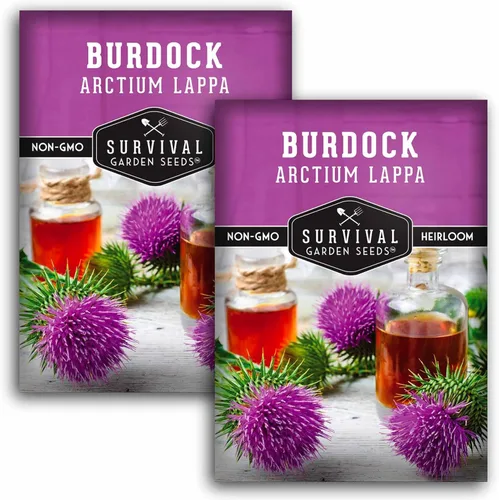 Semillas de bardana para plantar, 2 paquetes con instrucciones para plantar y cultivar raíz de bardana (GOBO) en el huerto de tu hogar, variedad