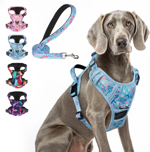 Miniatura 10 de BEAUTYZOO Arnés para perro sin tirones pequeño, juego de arnés y correa ajustable para perro - Fácil de usar con 3 hebillas/mango de control, arnés