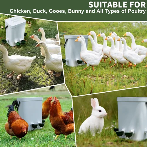 Miniatura 4 de Paquete de 12 tazas de agua para pollo, cuenco alimentador automático de llenado, sistema de riego por gravedad para aves de corral, dispensador
