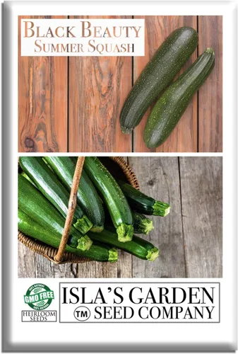 Isla's Garden Seeds - Semillas de calabaza verde de verano Black Beauty para plantar - Más de 25 semillas tradicionales por paquete, sin OMG, nombre