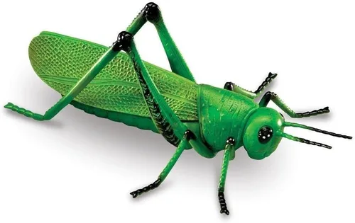 Miniatura 4 de Learning Resources Insectos jumbo, juguetes de animales para niños, ciencia preescolar infantil, habilidades motoras finas, regalos para niños