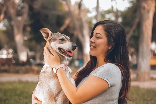 Miniatura 6 de Collar natural para pulgas y garrapatas para cachorros, proporciona protección de 24 meses, control seguro de plagas, impermeable y fuerte, incluye