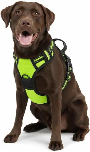 Arnés para perro sin tirones, chaleco táctico verde XL, arnés extra grande de nailon 900D resistente con asas de fácil control, chaleco acolchado