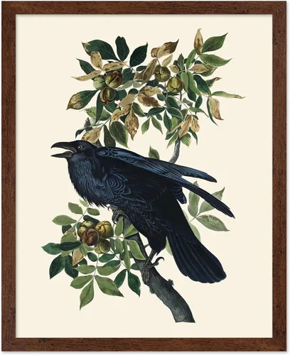 Miniatura 15 de Poster Master Vintage James Audubon Póster - Impresión Retro de Cuervo - Arte de Aves de América - Arte de Aves - Regalo para Hombres, Mujeres
